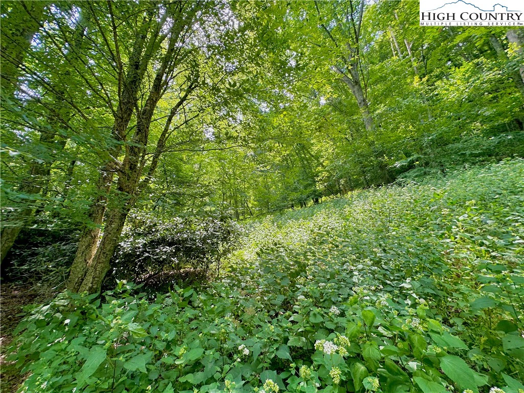 Image number 13 for the current listing