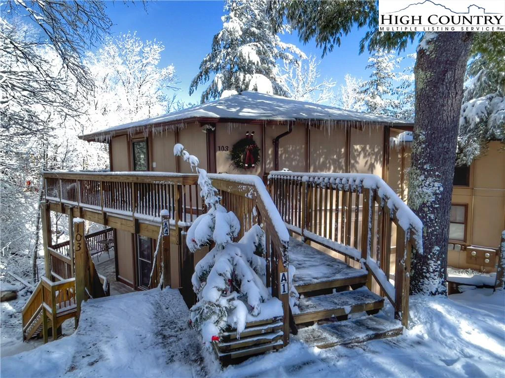Image number 1 for the current listing