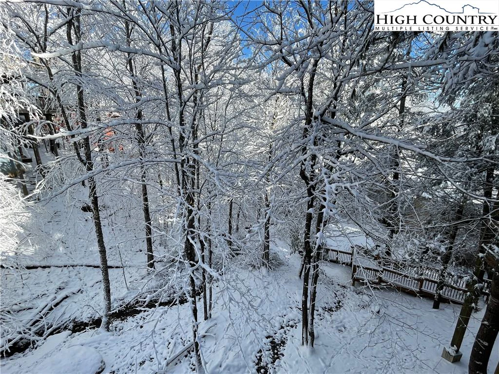 Image number 4 for the current listing