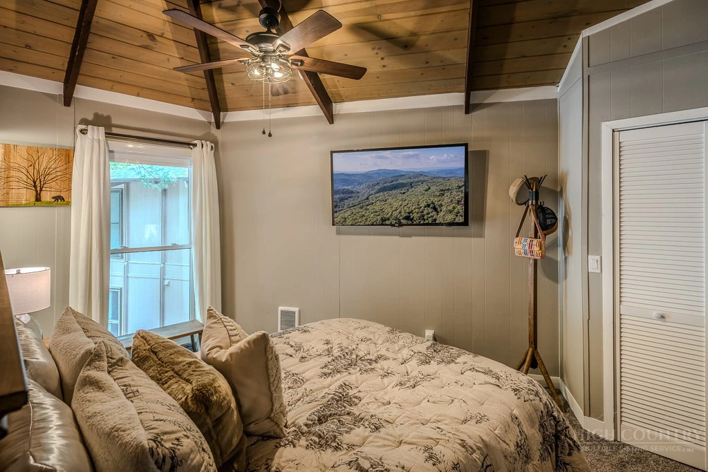 Image number 5 for the current listing
