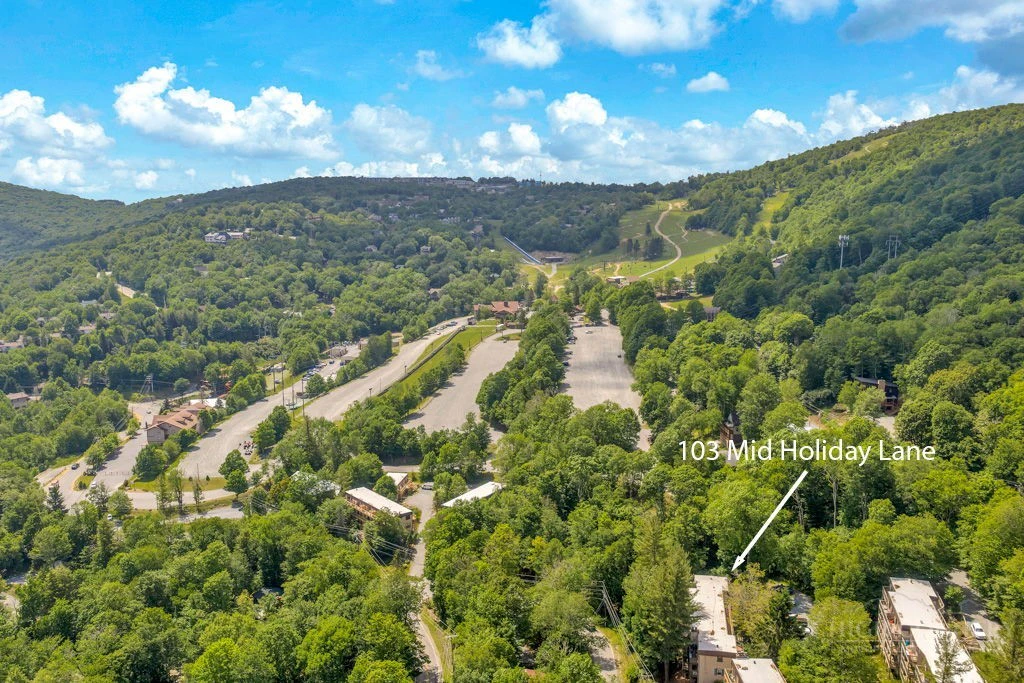 Image number 2 for the current listing