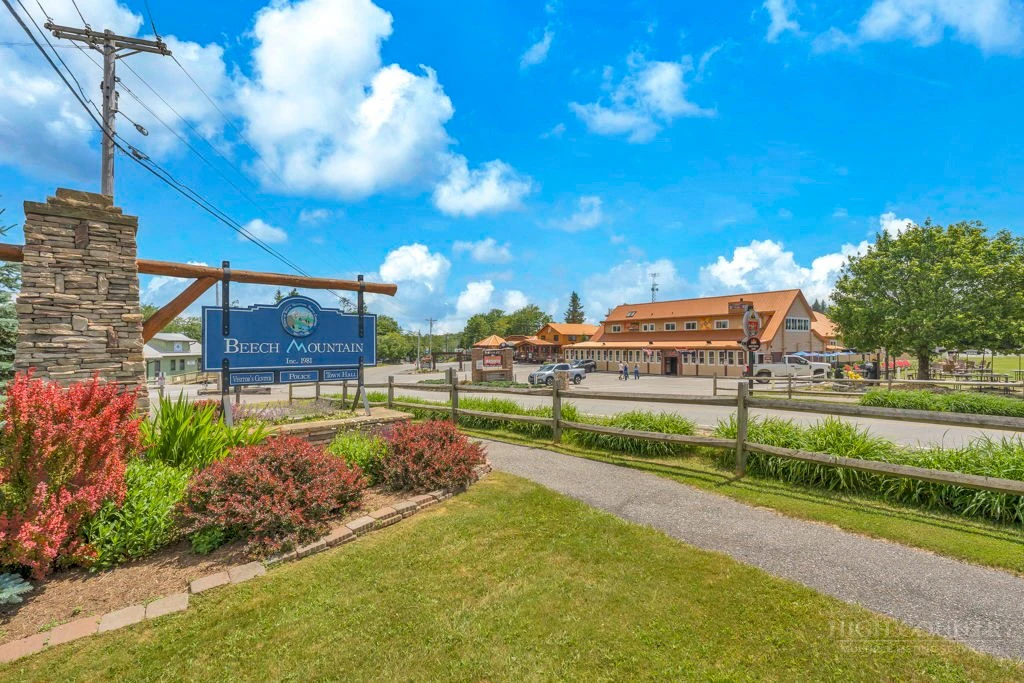 Image number 4 for the current listing