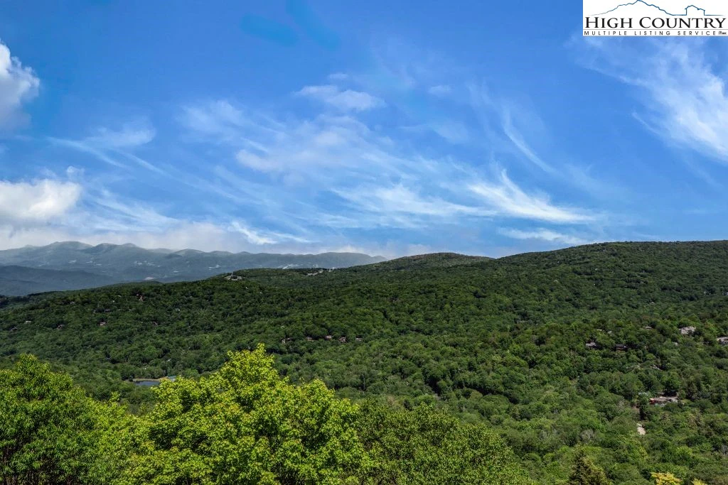 Image number 11 for the current listing