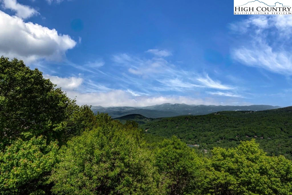 Image number 14 for the current listing