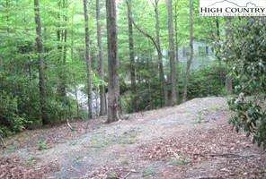 Image number 1 for the current listing