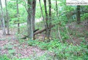Image number 6 for the current listing