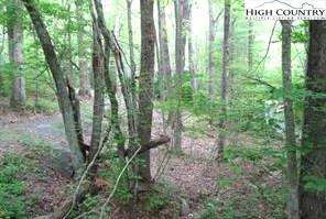 Image number 7 for the current listing