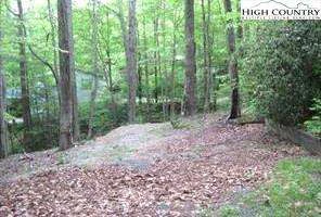 Image number 8 for the current listing