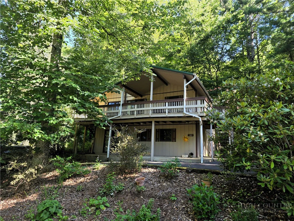Image number 2 for the current listing