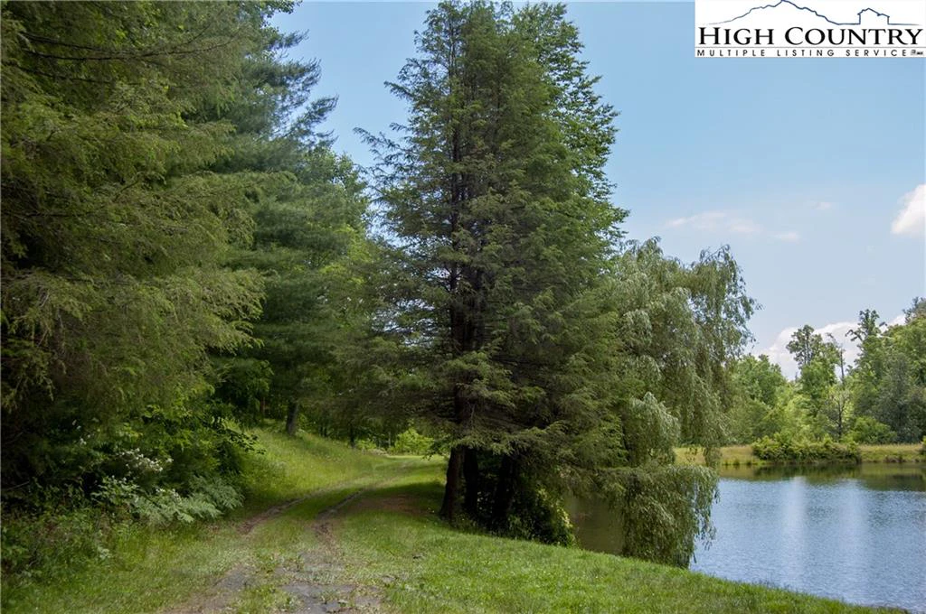 Image number 13 for the current listing