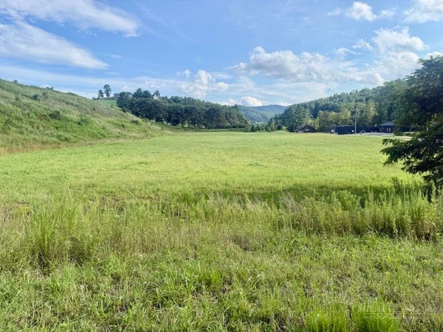 Image number 2 for the current listing