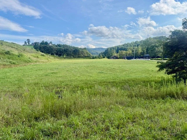 Image number 3 for the current listing
