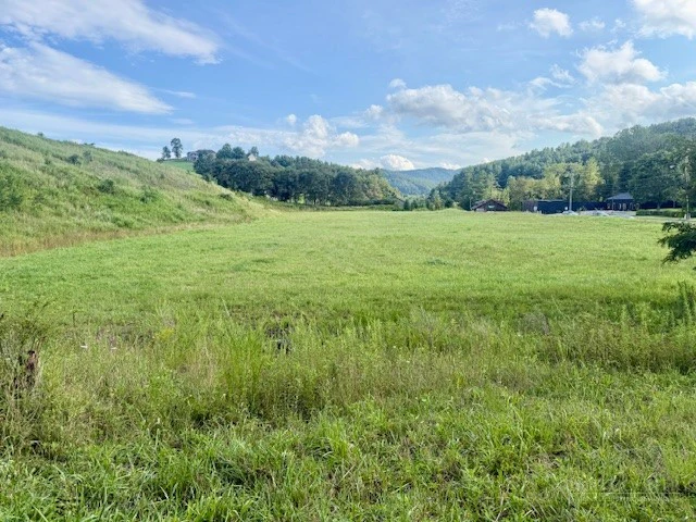 Image number 4 for the current listing