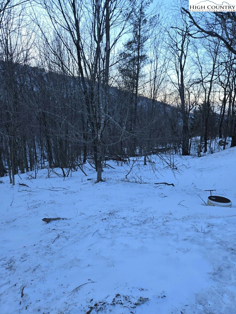 Image number 3 for the current listing