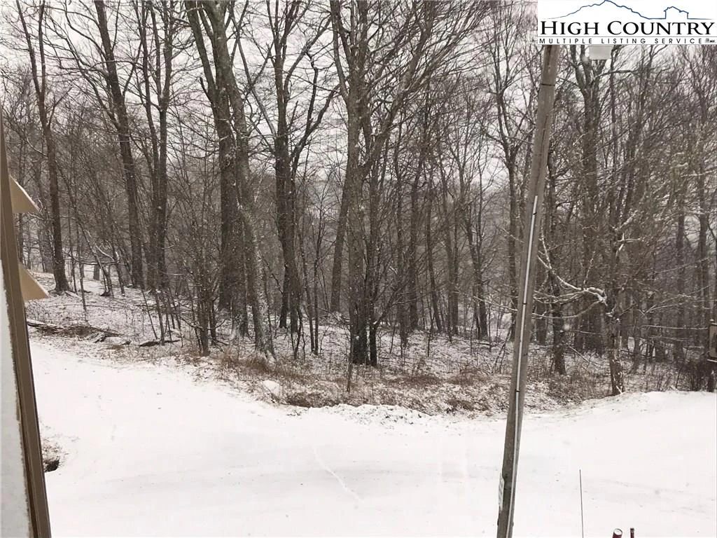 Image number 11 for the current listing