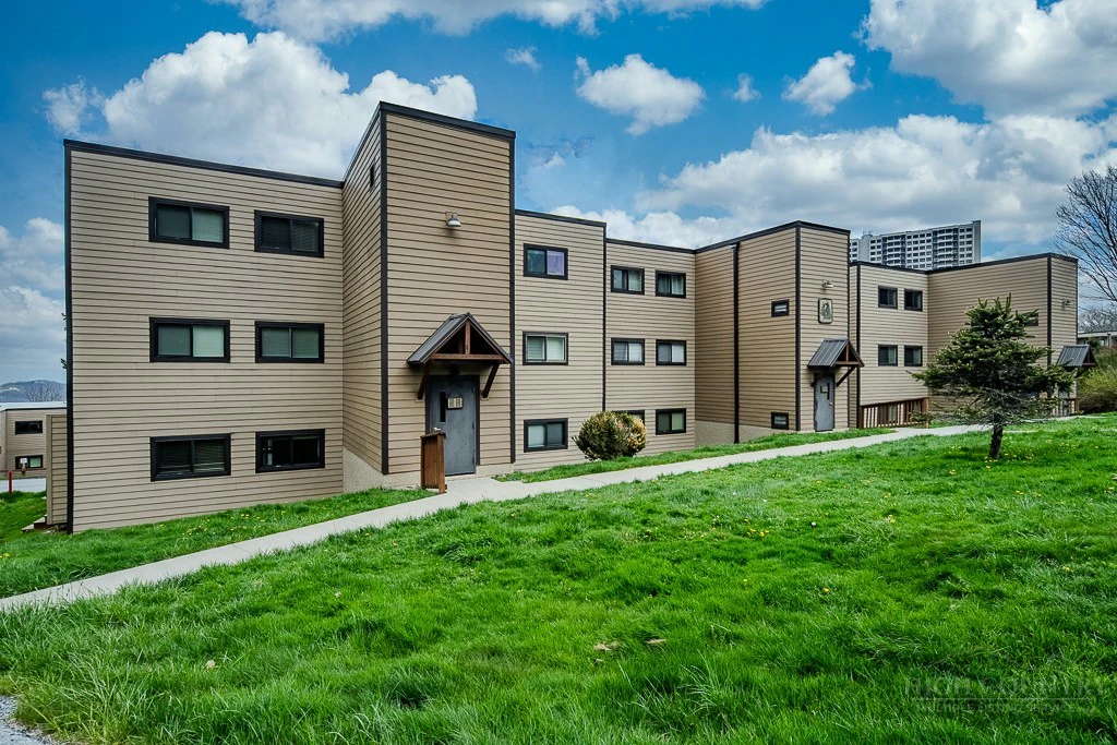 Image number 1 for the current listing