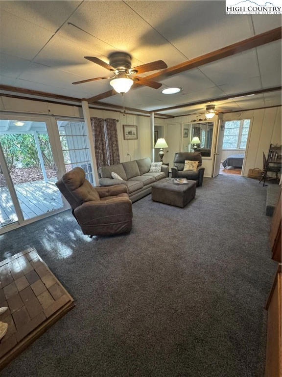 Image number 13 for the current listing