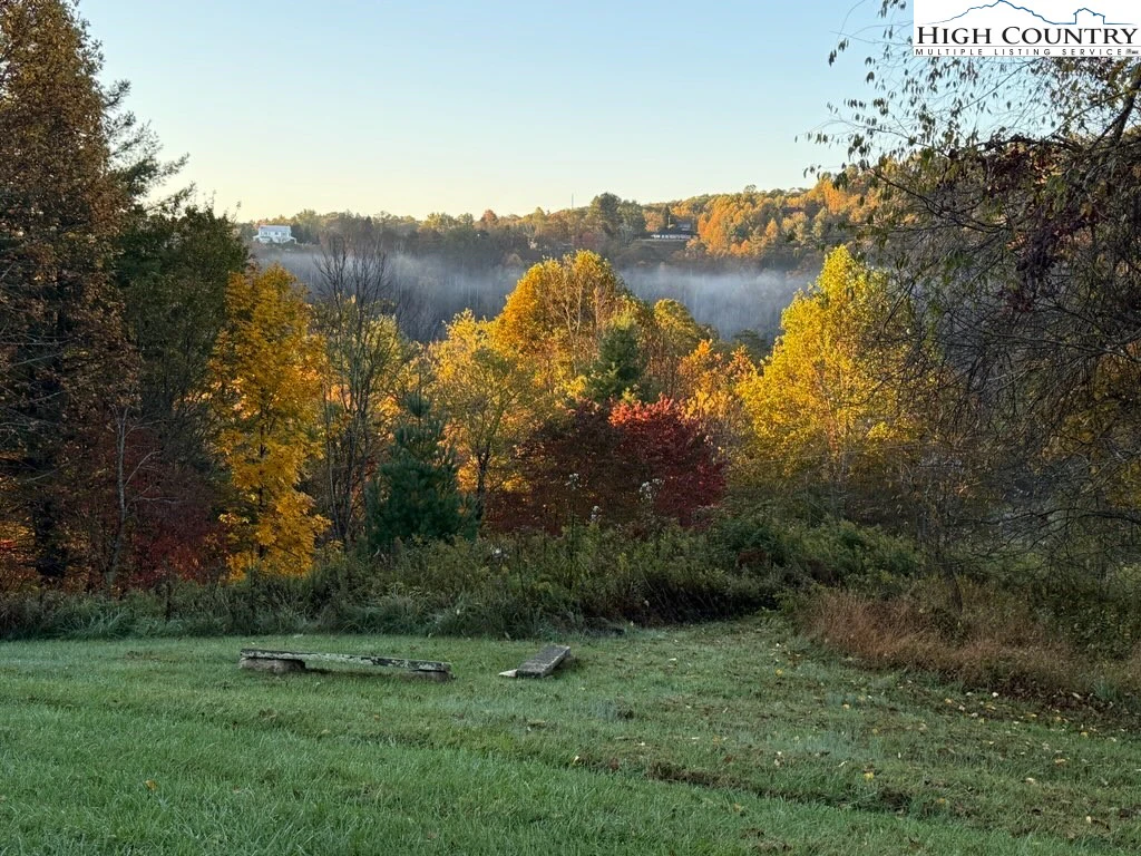 Image number 11 for the current listing