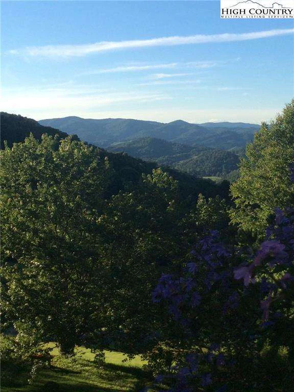 Image number 11 for the current listing