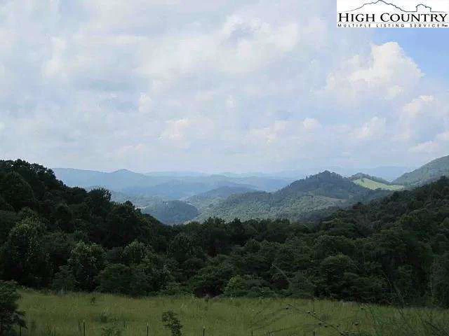 Image number 15 for the current listing
