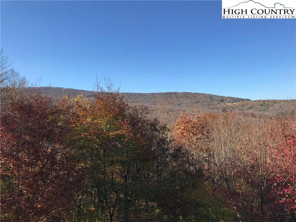 Image number 1 for the current listing