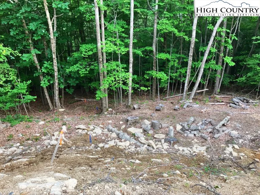 Image number 11 for the current listing