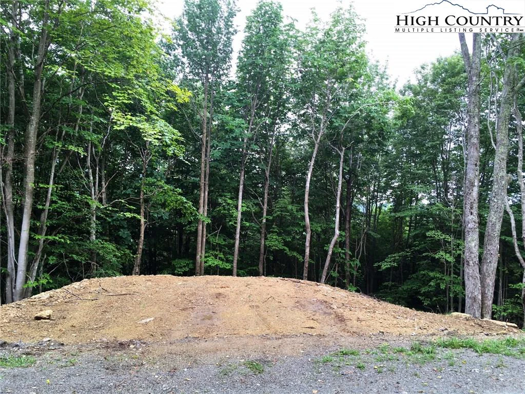 Image number 12 for the current listing
