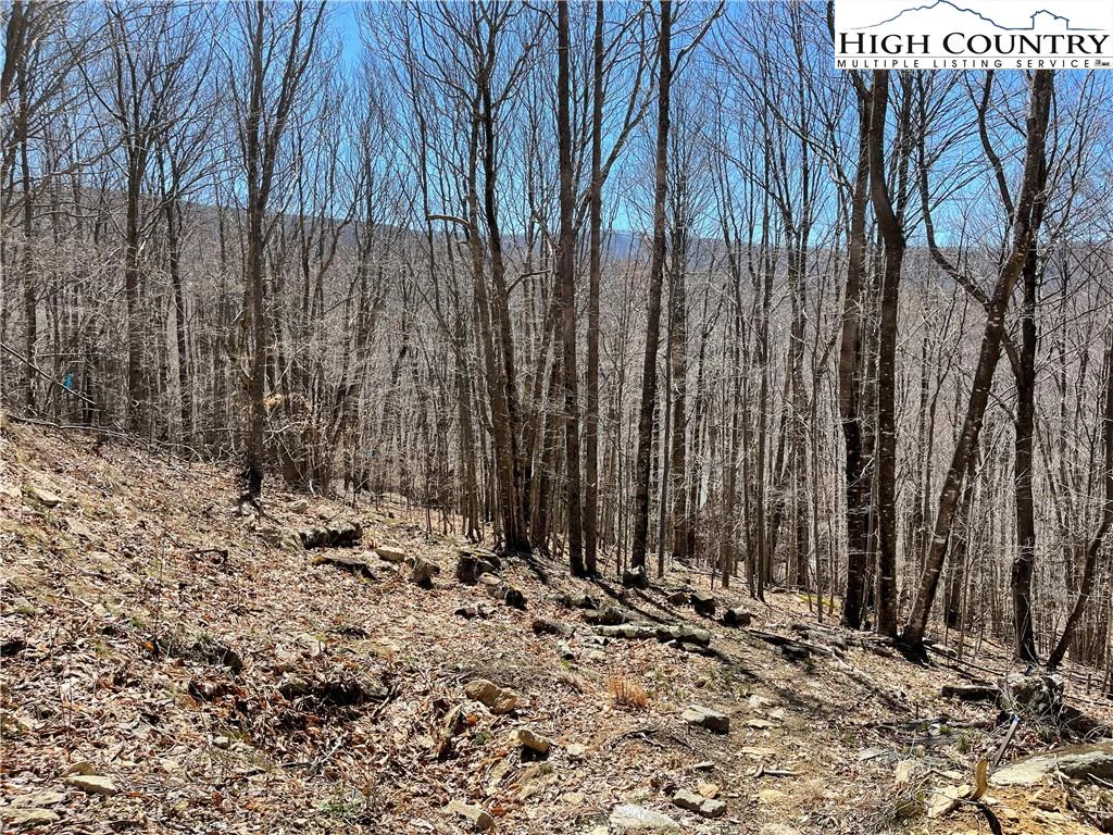 Image number 13 for the current listing