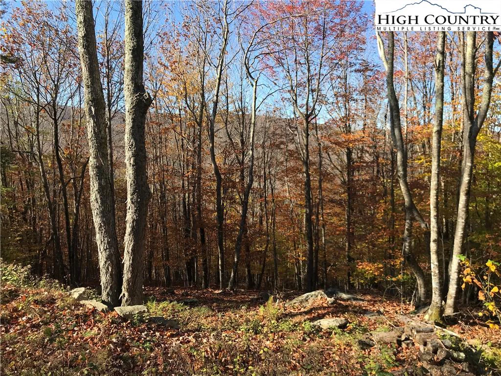 Image number 3 for the current listing