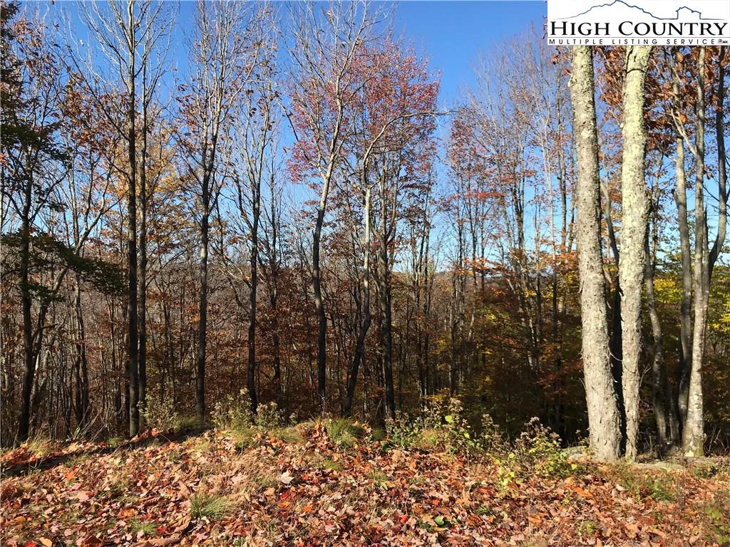 Image number 4 for the current listing