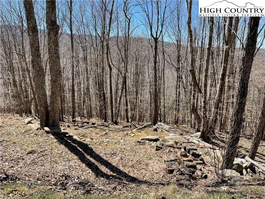 Image number 5 for the current listing