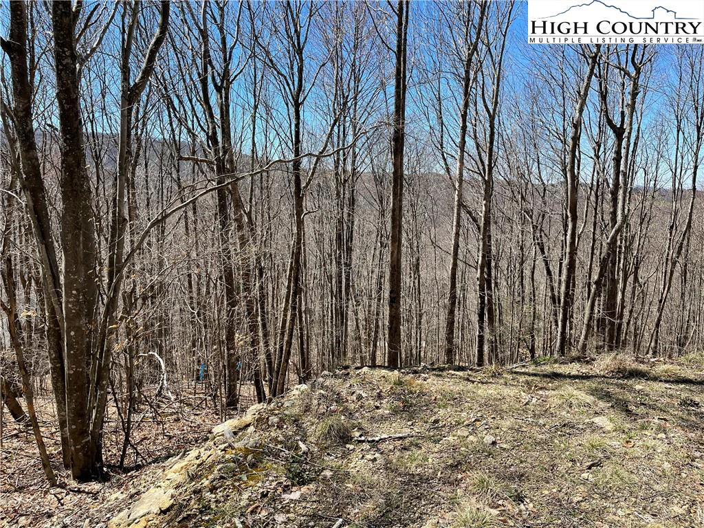 Image number 6 for the current listing