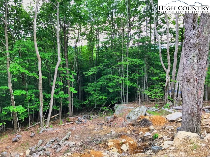 Image number 9 for the current listing