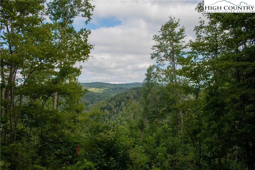 Image number 6 for the current listing