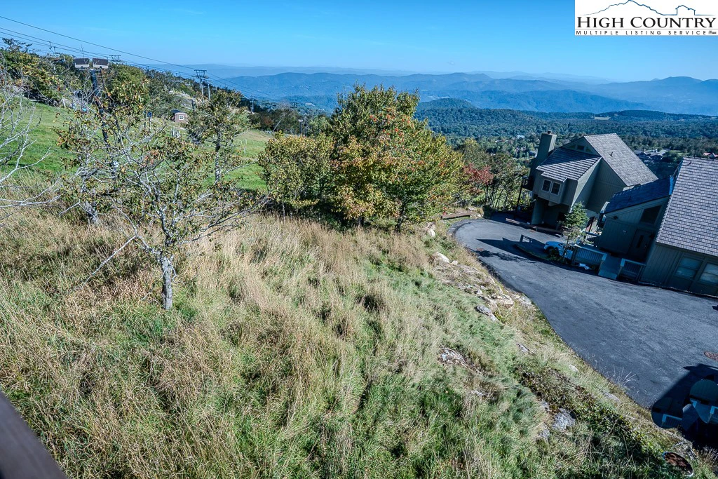 Image number 12 for the current listing