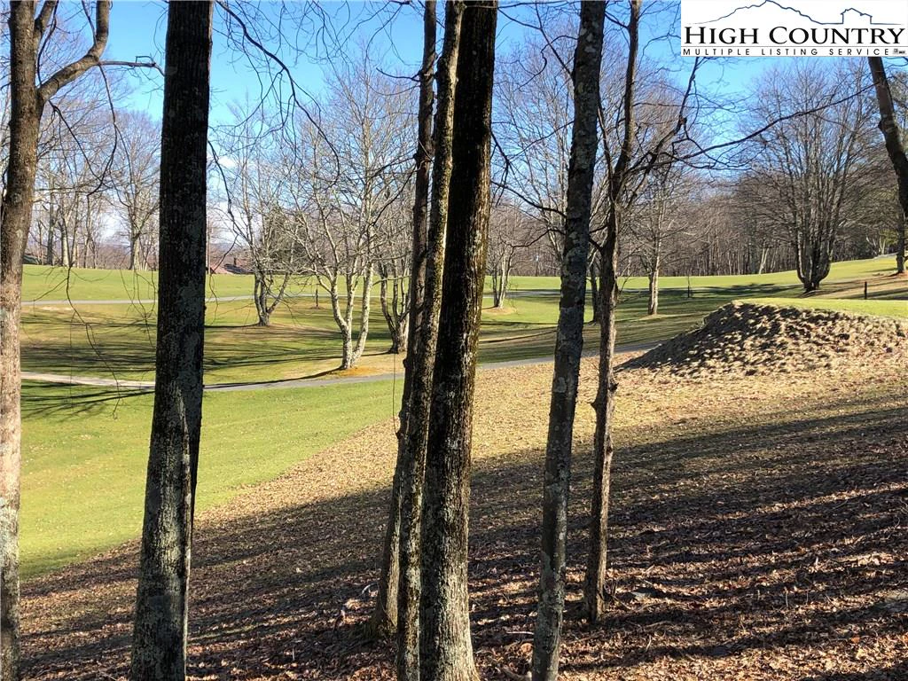Image number 13 for the current listing