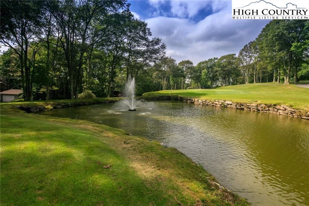 Image number 19 for the current listing