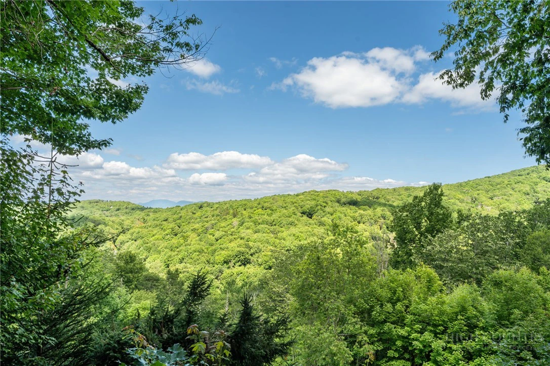 Image number 5 for the current listing