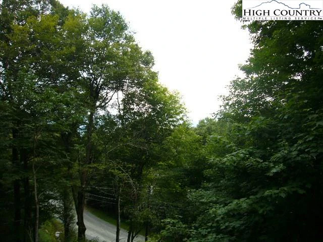 Image number 2 for the current listing