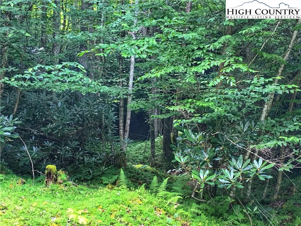 Image number 1 for the current listing