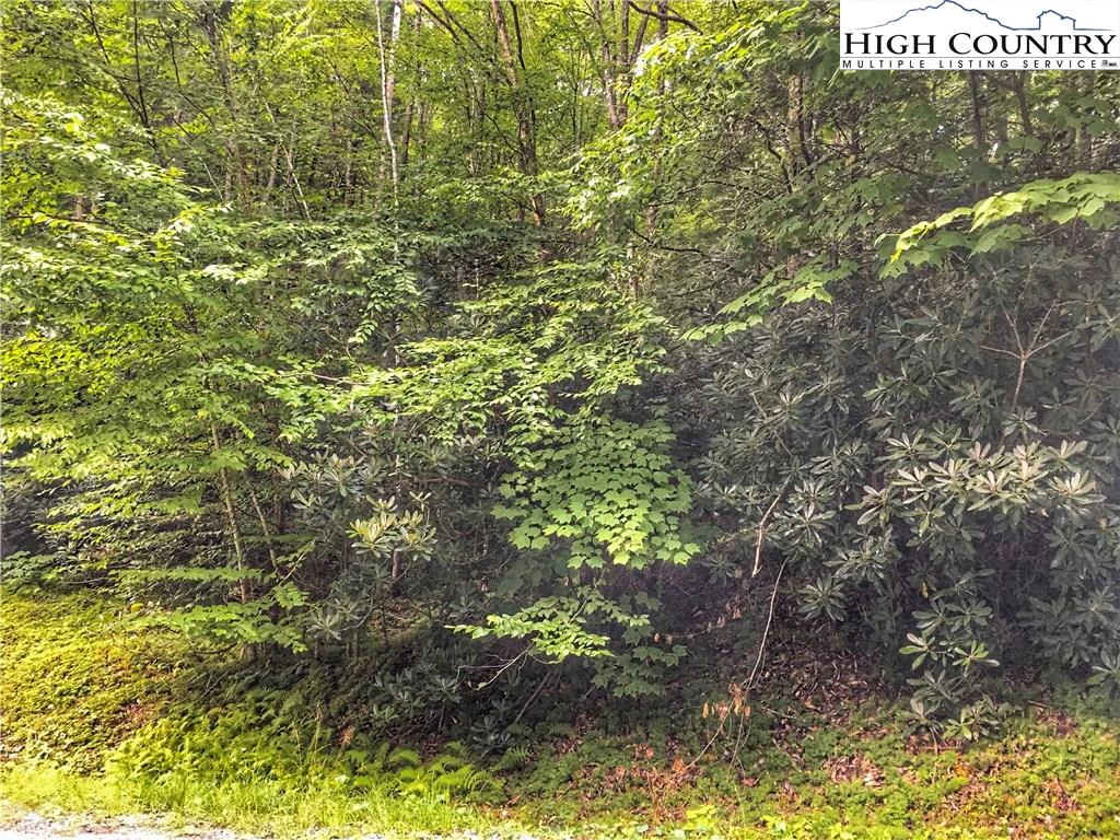 Image number 3 for the current listing