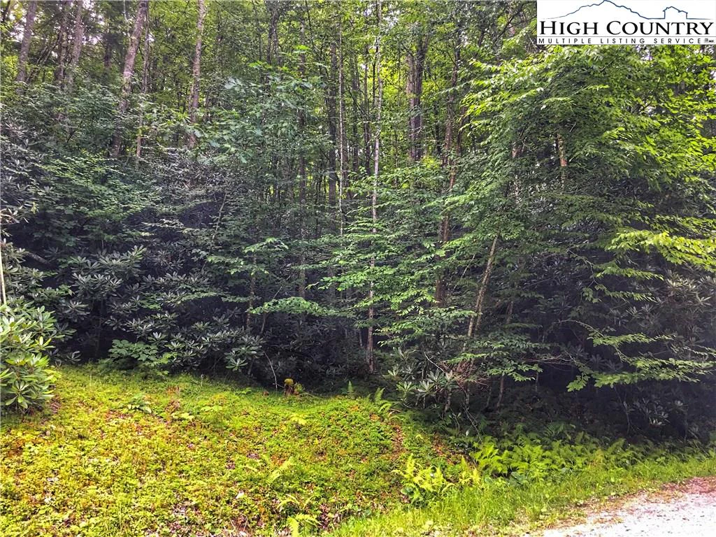 Image number 4 for the current listing