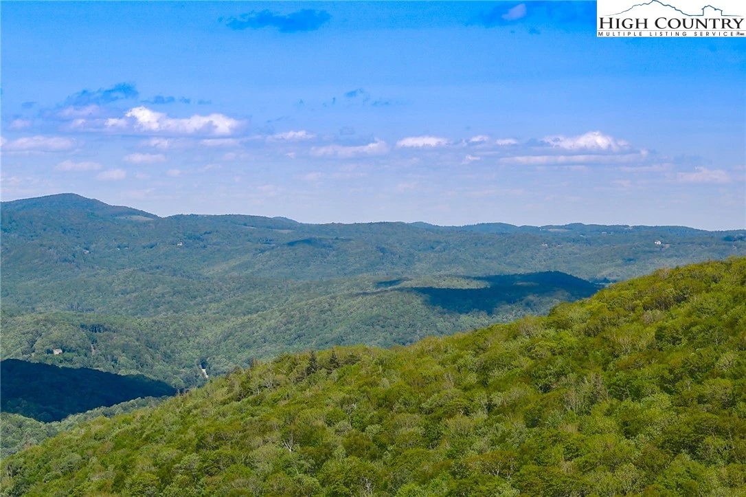 Image number 2 for the current listing