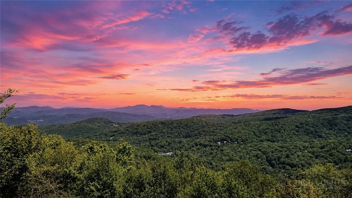 Image number 1 for the current listing