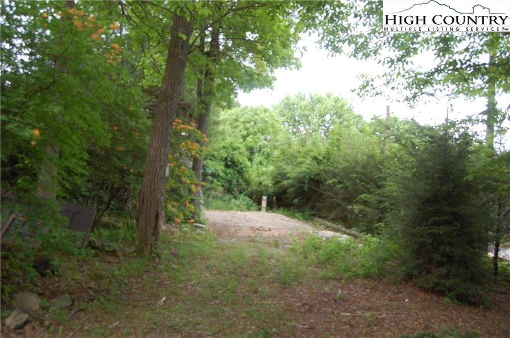 Image number 3 for the current listing