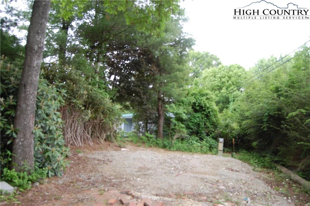Image number 4 for the current listing