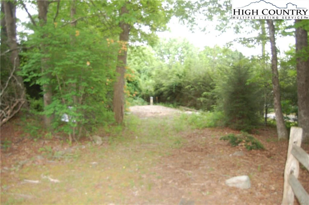 Image number 5 for the current listing