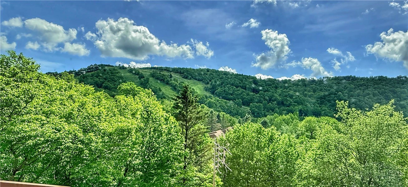 Image number 3 for the current listing