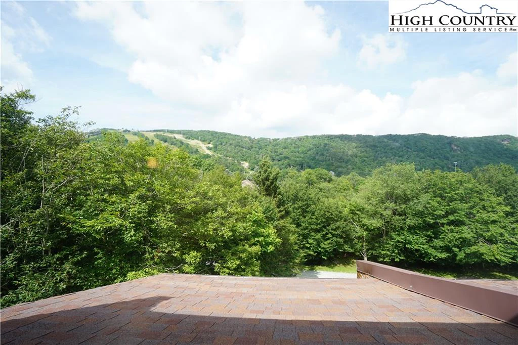 Image number 8 for the current listing
