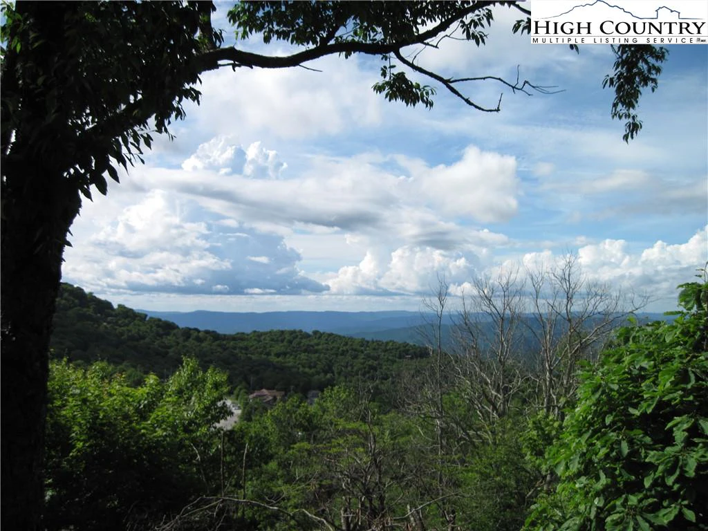Image number 3 for the current listing
